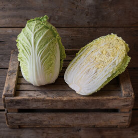 Michihili, Pak Choi Cabbage